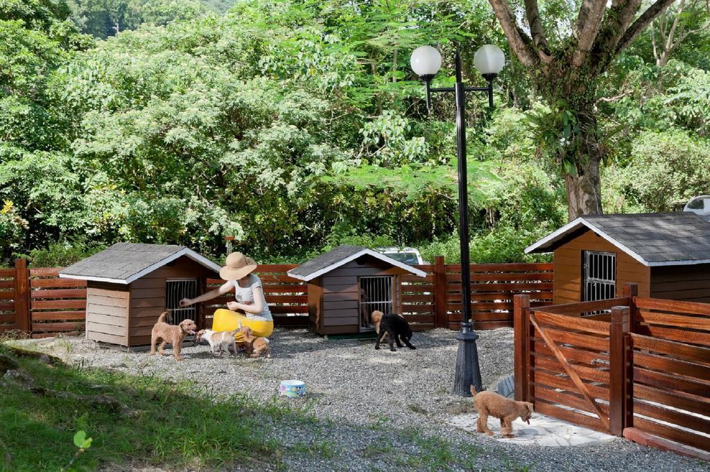 Hotel Royal Chihpin Wenquan Eksteriør bilde A dog hotel in the United States